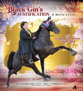 Black Gin's Justification wesite ad