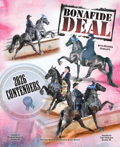 Bonafide Deal website ad