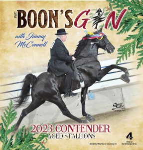 Boon's Gin