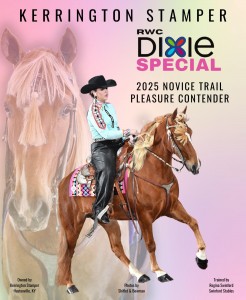 DIXIE SPECIAL