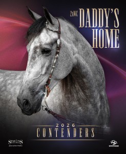 Daddys Home