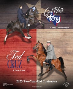 GOD BLESS TEXAS_TED CRUZ