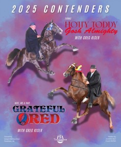 HOTTY TODDY_GRATEFUL RED