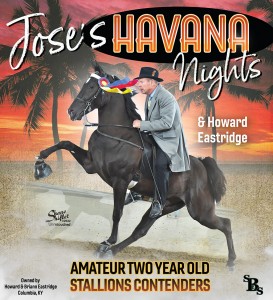 Joses Havana Nights