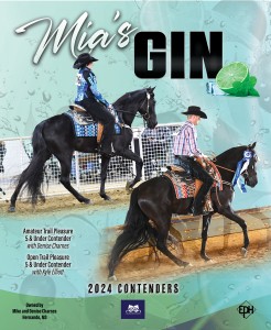 Mia's Gin website ad