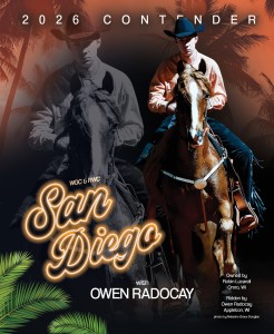 San Diego WEBSITE AD