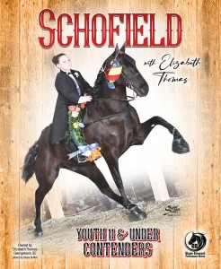 Schofield Website Ad