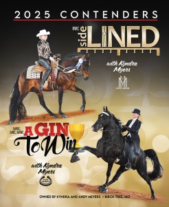 Sidelined _ A Gin to Win WEBSITE AD