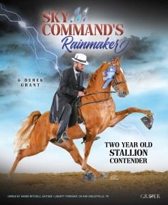 Sky Command's Rainmaker website ad