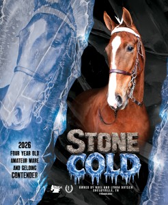 Stone Cold 2