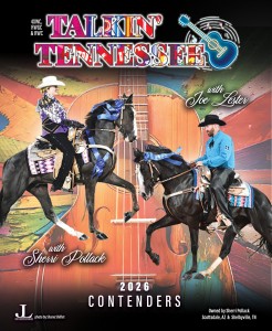 Talkin Tennessee website ad new