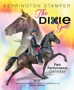 The Dixie gal