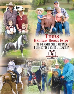Tibbs Horse Farm