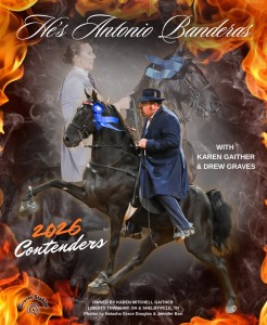 hes antonio banderas