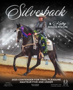 silverback website