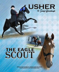 usher_the eagle scout