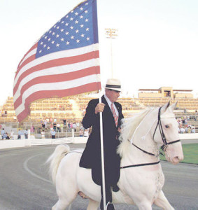 flag horse picture to go with the news article