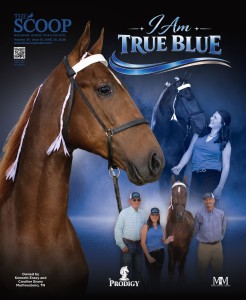 FC_I am True Blue