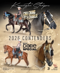 Dixie special_Cha Ching Charlie.jpg