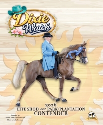 Dixie Watch website.jpg